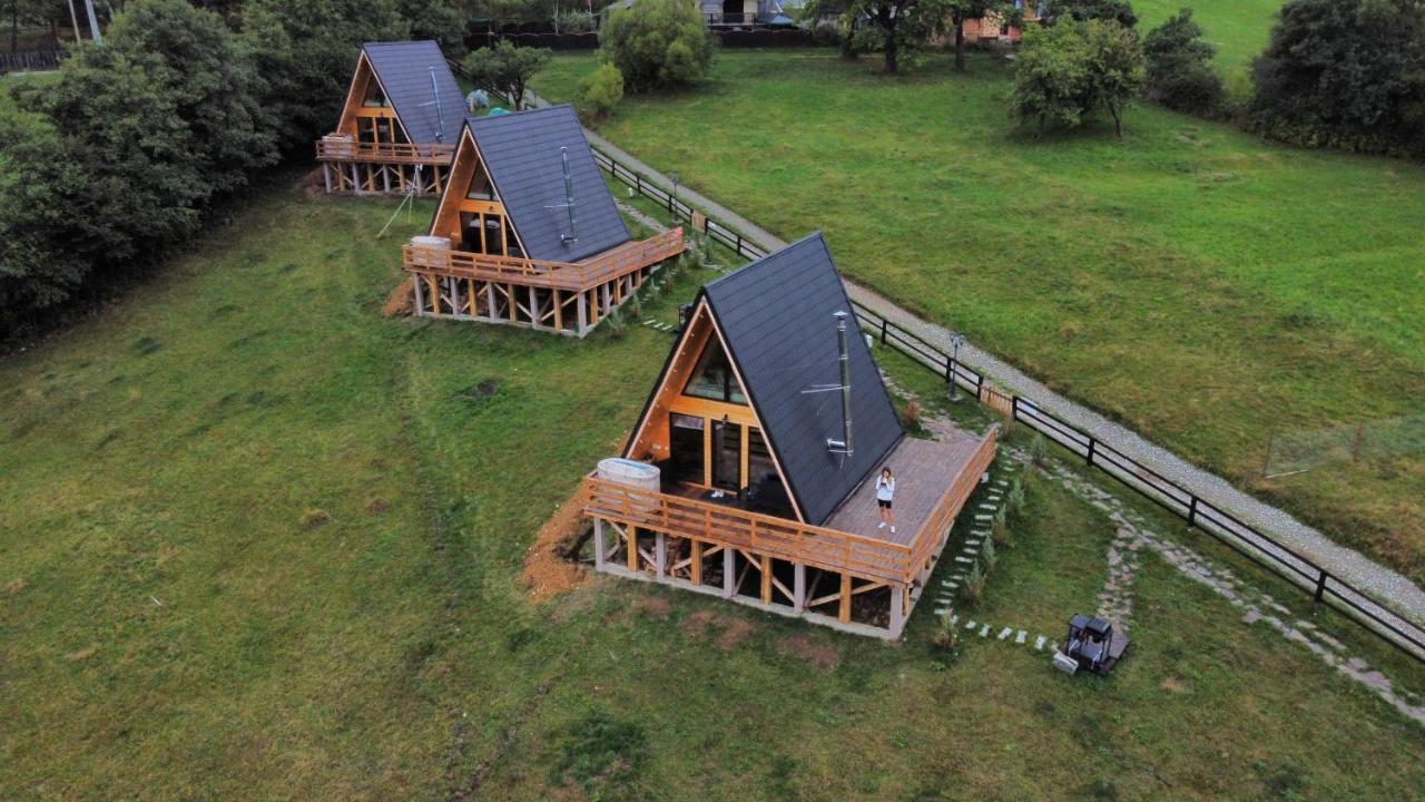 Cabana 365 Braşov Exteriör bild