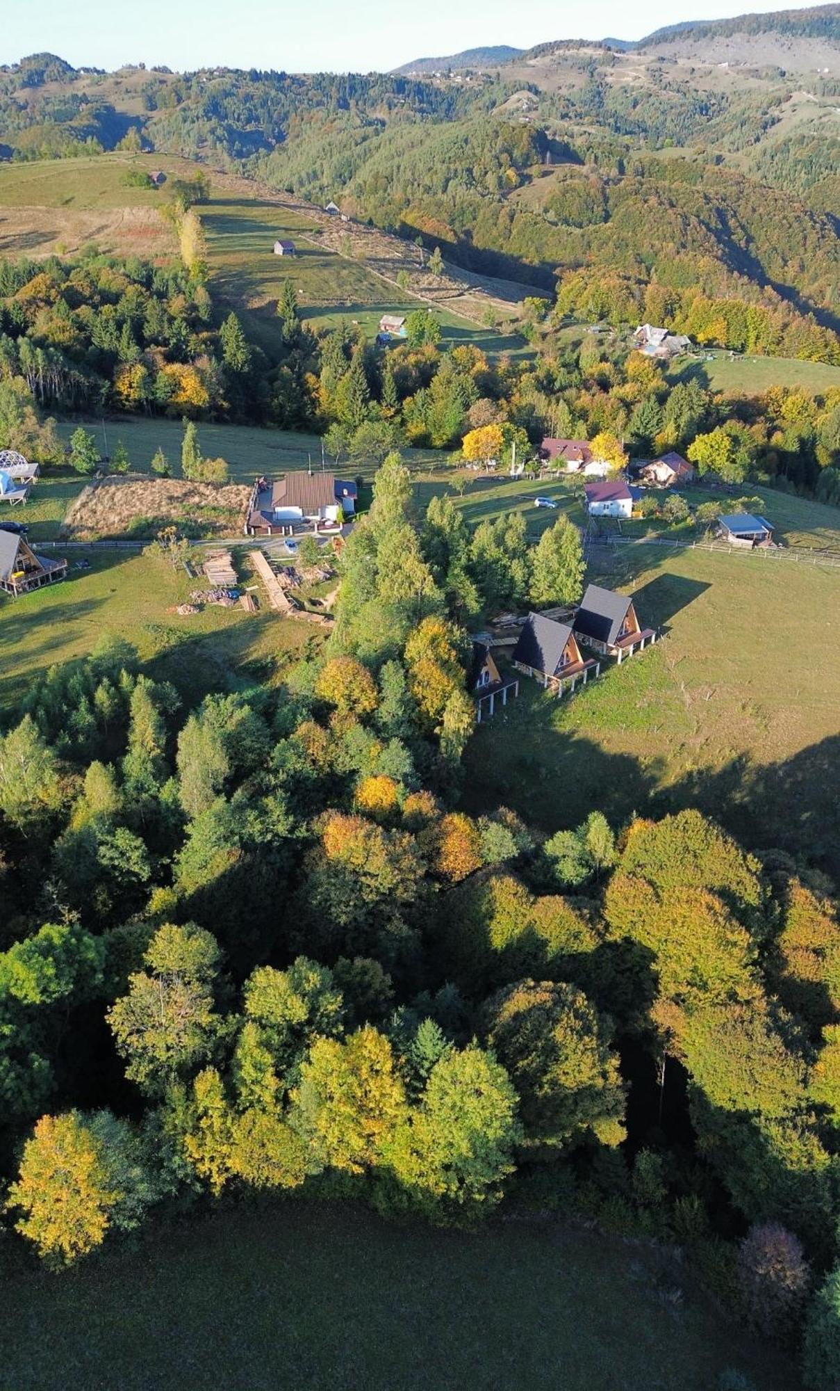 Cabana 365 Braşov Exteriör bild