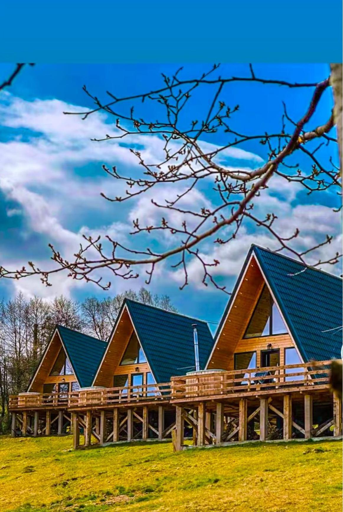Cabana 365 Braşov Exteriör bild