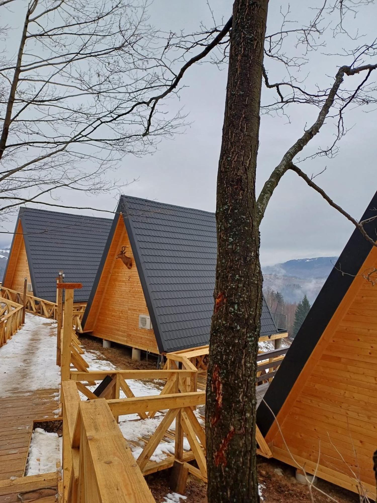 Cabana 365 Braşov Exteriör bild