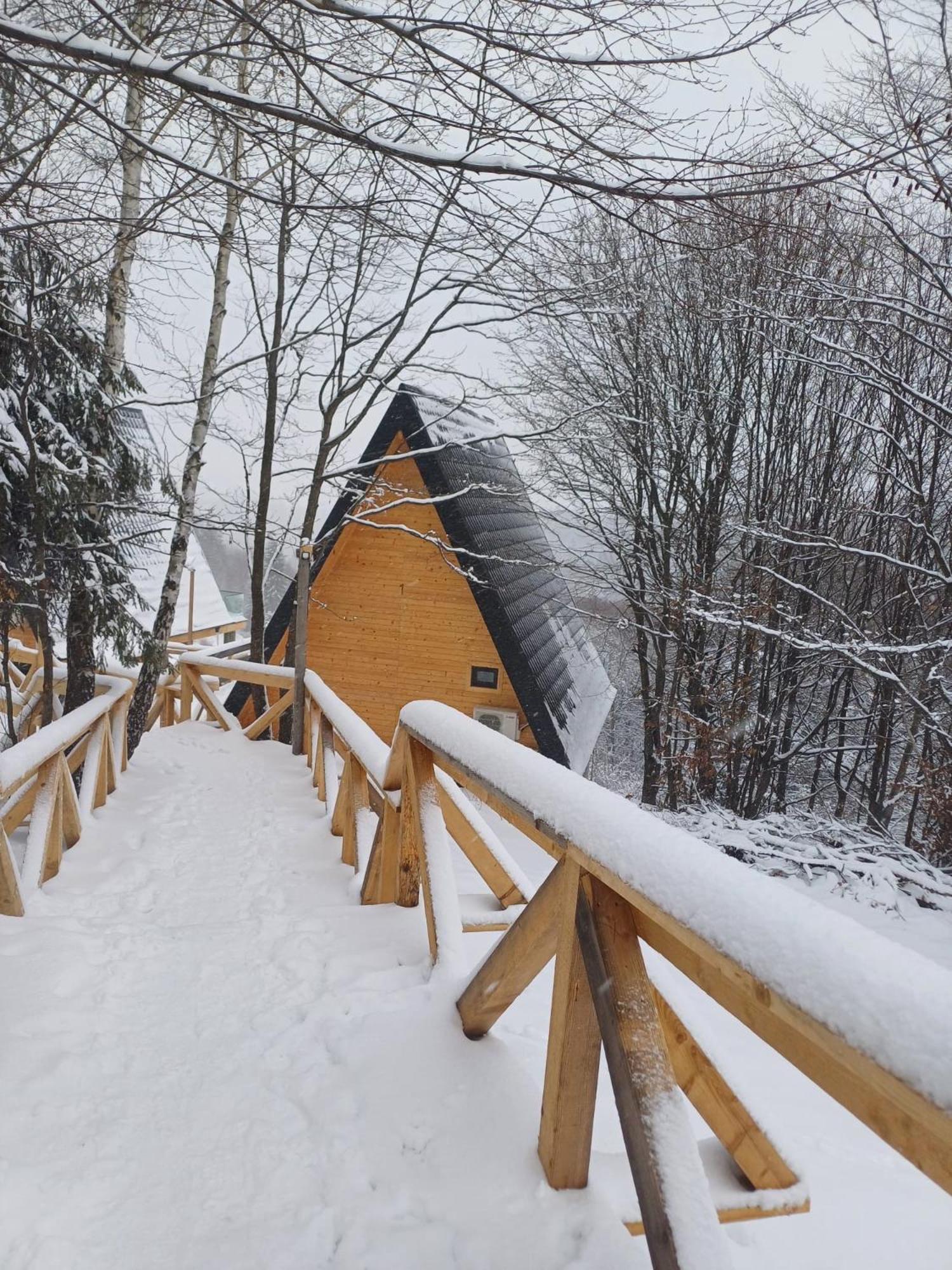 Cabana 365 Braşov Exteriör bild