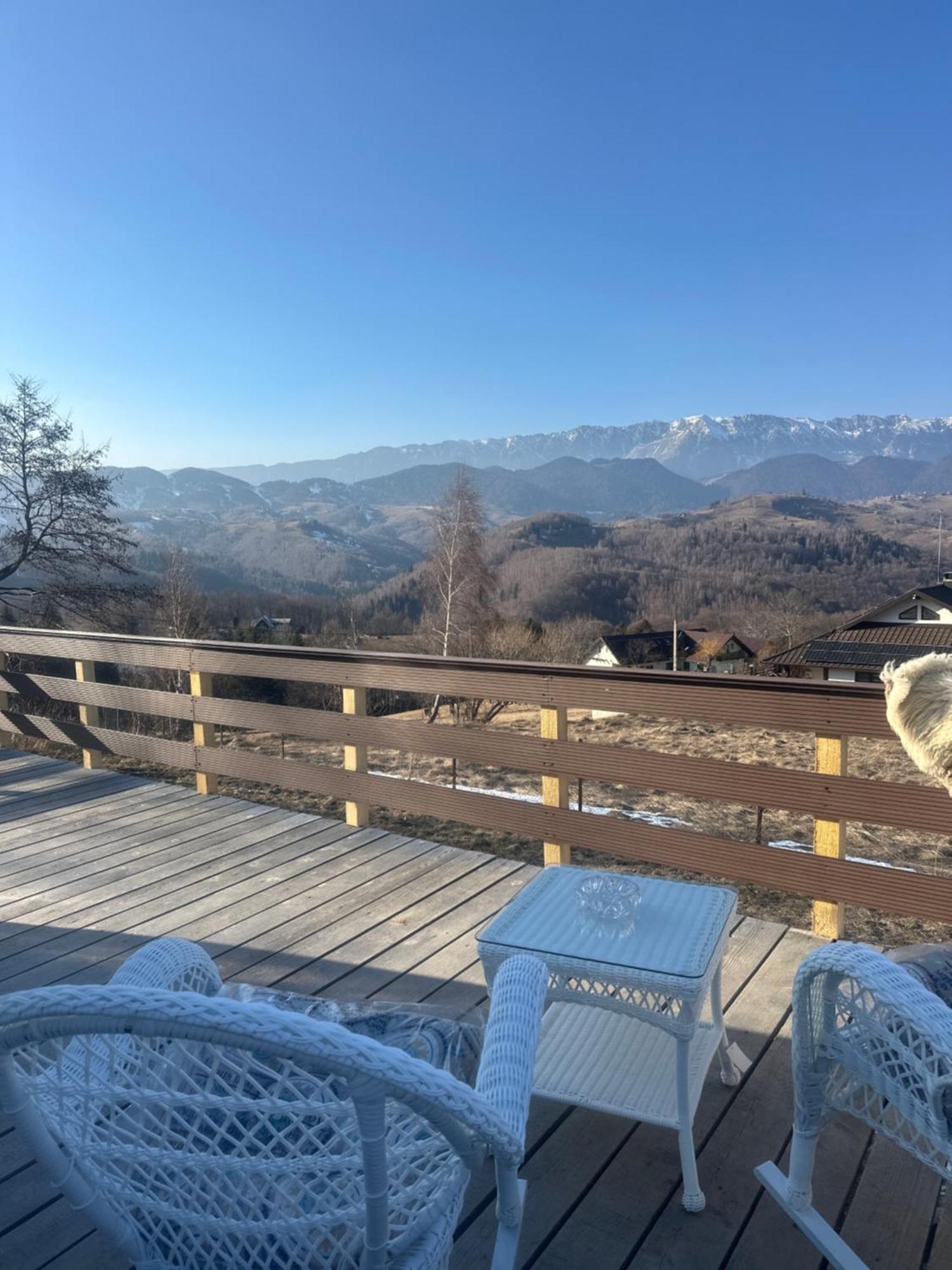 Cabana 365 Braşov Exteriör bild